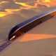 A render of the luxury G Train crossing a desert